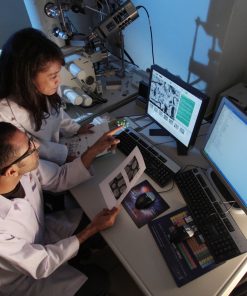 Diplomado en Neuropsicología